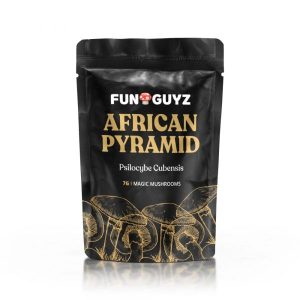 African Pyramid Magic Mushrooms